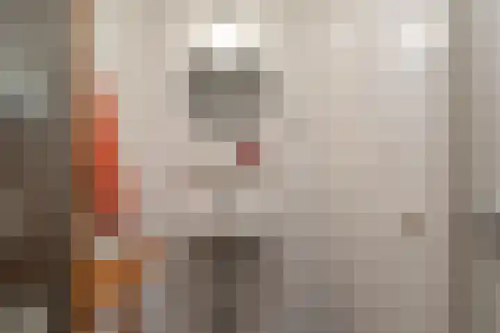 Regattaweg 190 Groningen thumbnail 35