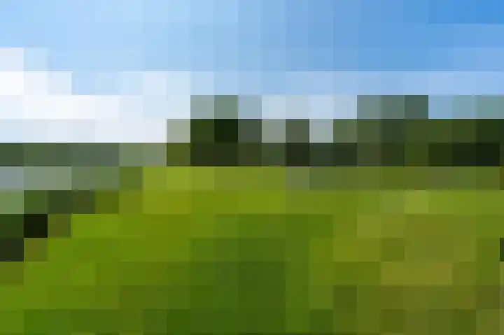 Regattaweg 190 Groningen thumbnail 44
