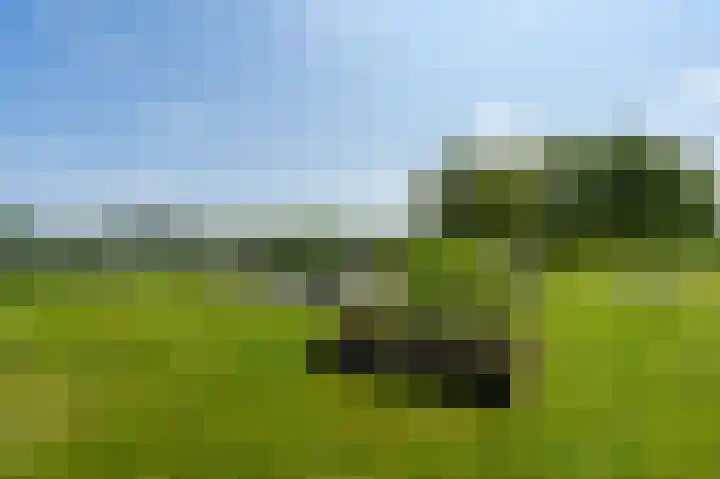 Regattaweg 190 Groningen thumbnail 45