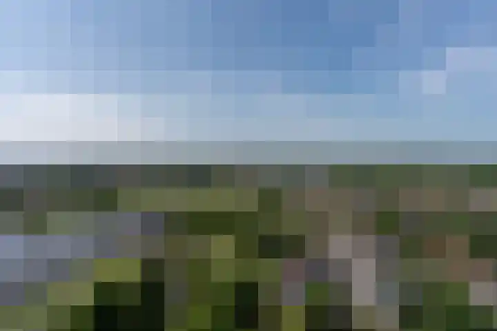 Regattaweg 190 Groningen thumbnail 46