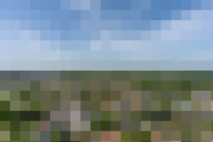 Regattaweg 190 Groningen thumbnail 47