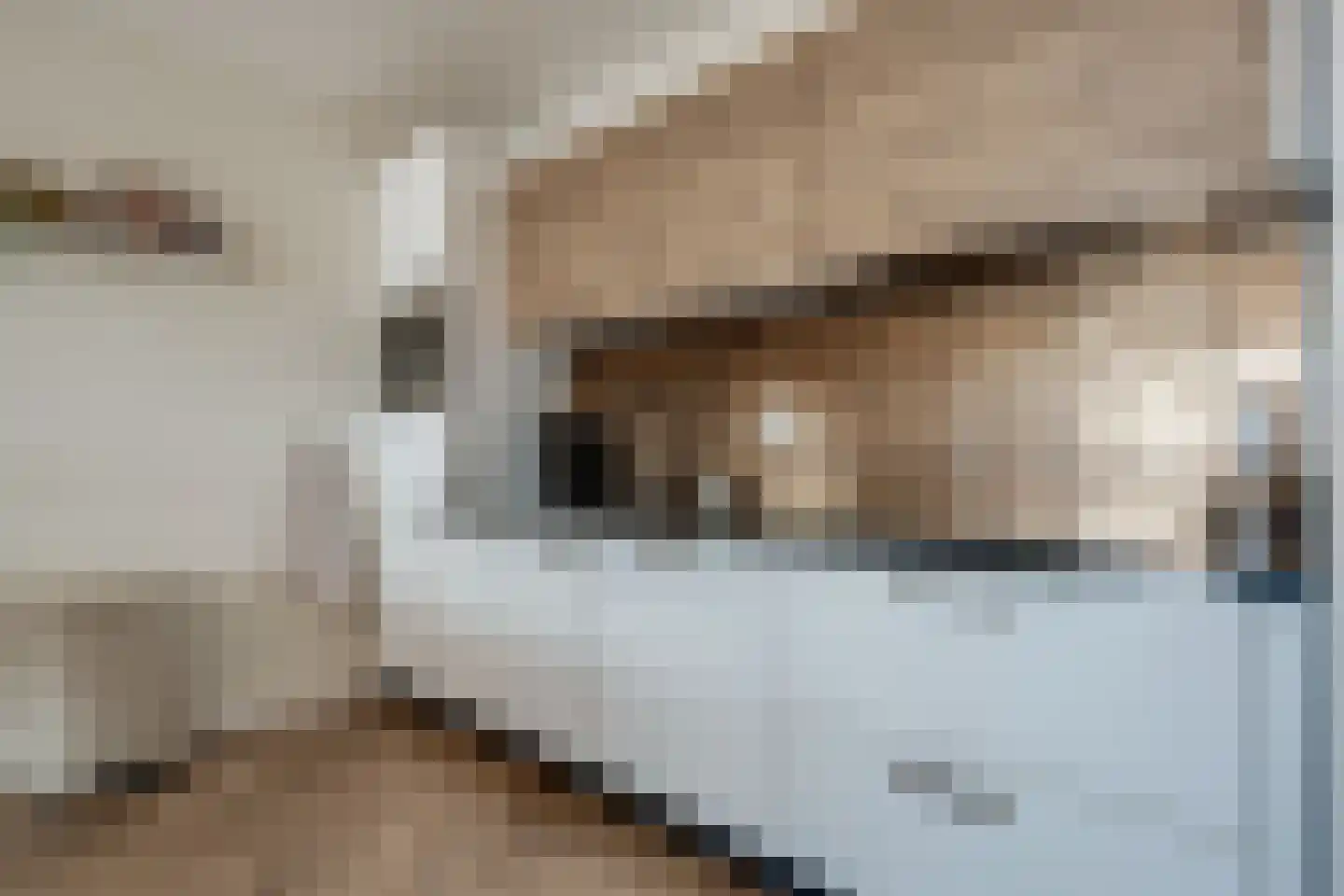 Regattaweg 260 Groningen thumbnail 23