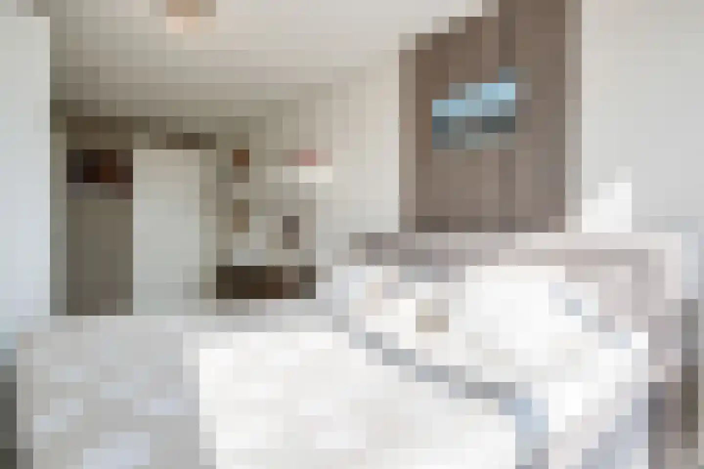 Regattaweg 260 Groningen thumbnail 29