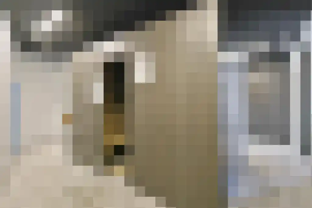 Regattaweg 260 Groningen thumbnail 38