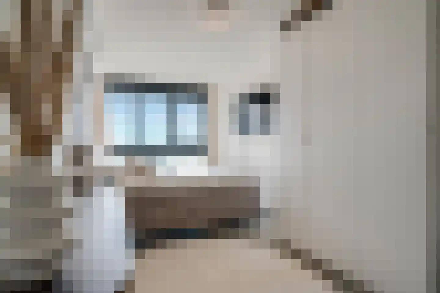 Regattaweg 260 Groningen thumbnail 4