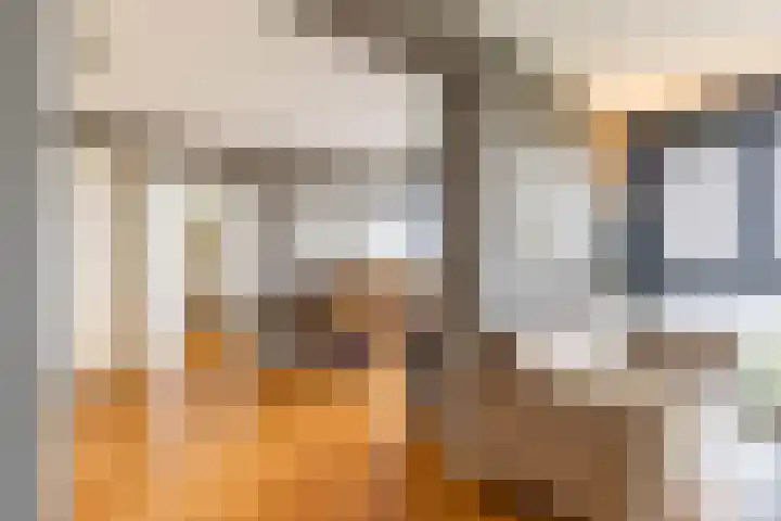 Regattaweg 276 Groningen thumbnail 10