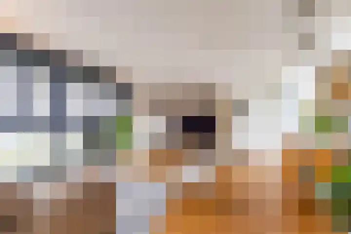 Regattaweg 276 Groningen thumbnail 11