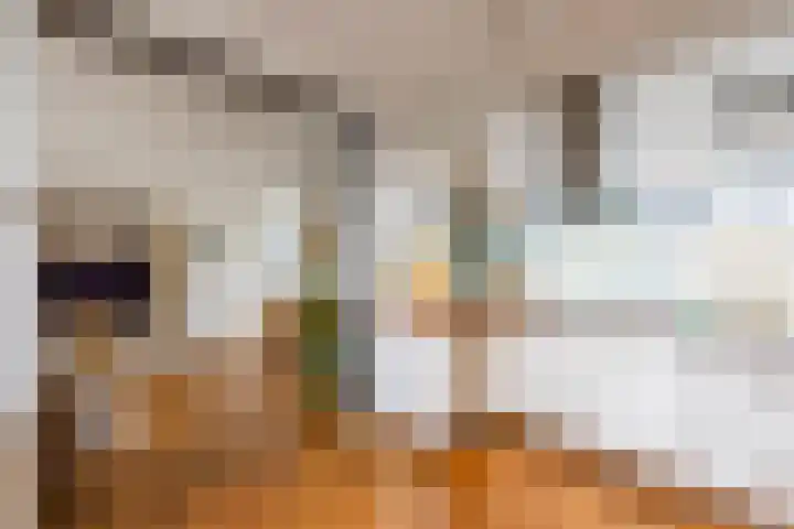 Regattaweg 276 Groningen thumbnail 15