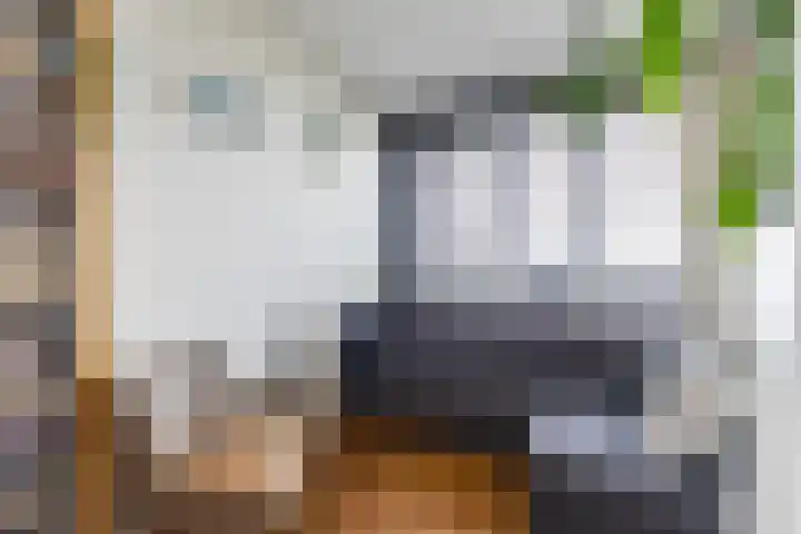 Regattaweg 276 Groningen thumbnail 18