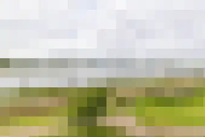 Regattaweg 276 Groningen thumbnail 25