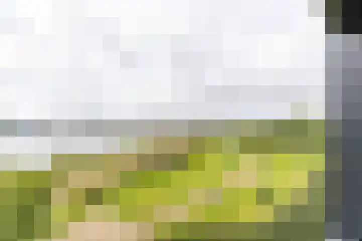 Regattaweg 276 Groningen thumbnail 26