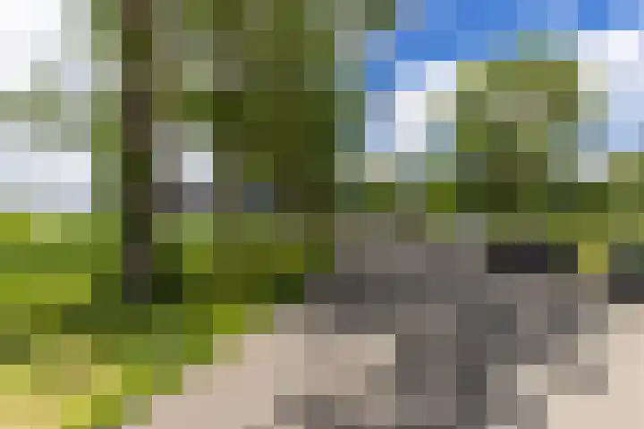 Regattaweg 276 Groningen thumbnail 32