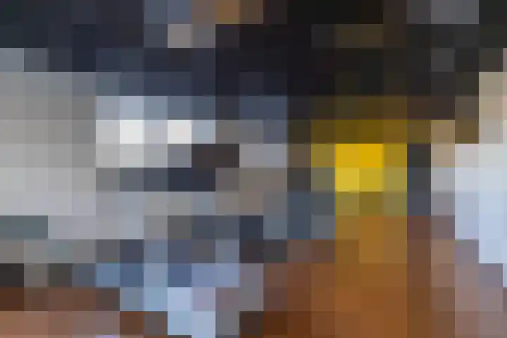 Regattaweg 276 Groningen thumbnail 37