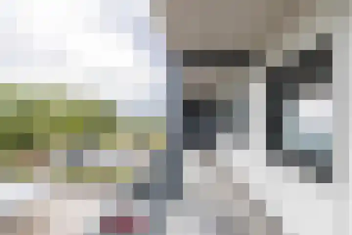 Regattaweg 276 Groningen thumbnail 4