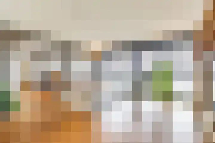 Regattaweg 276 Groningen thumbnail 8