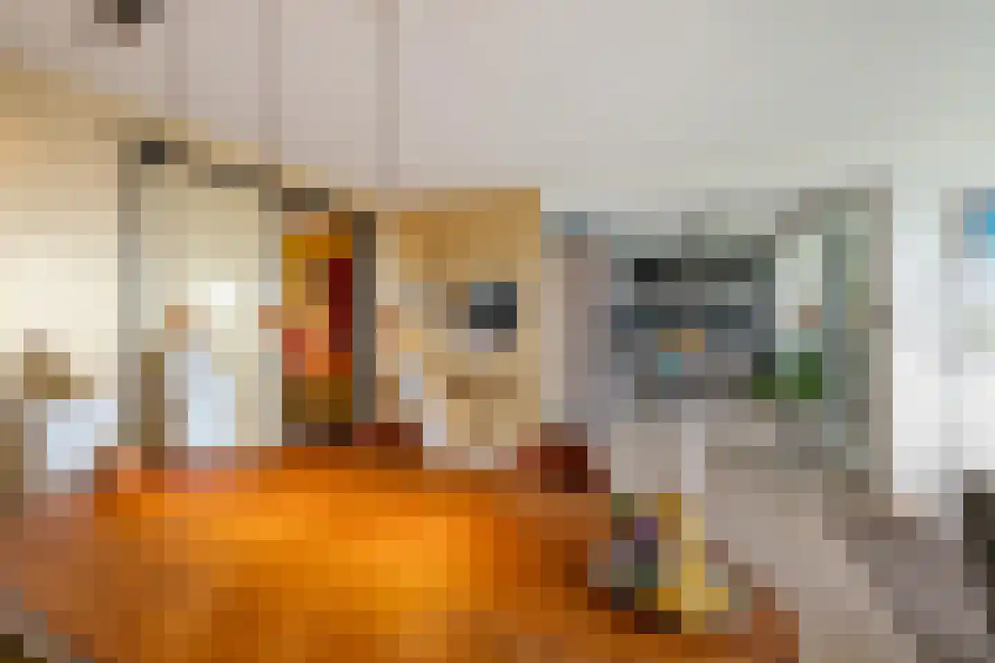 Regattaweg 290 Groningen thumbnail 15