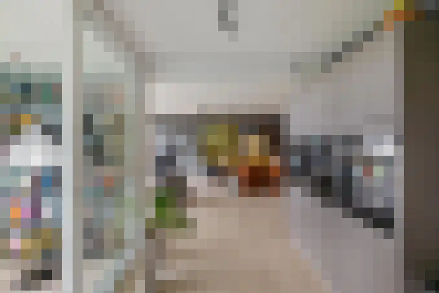 Regattaweg 290 Groningen thumbnail 23