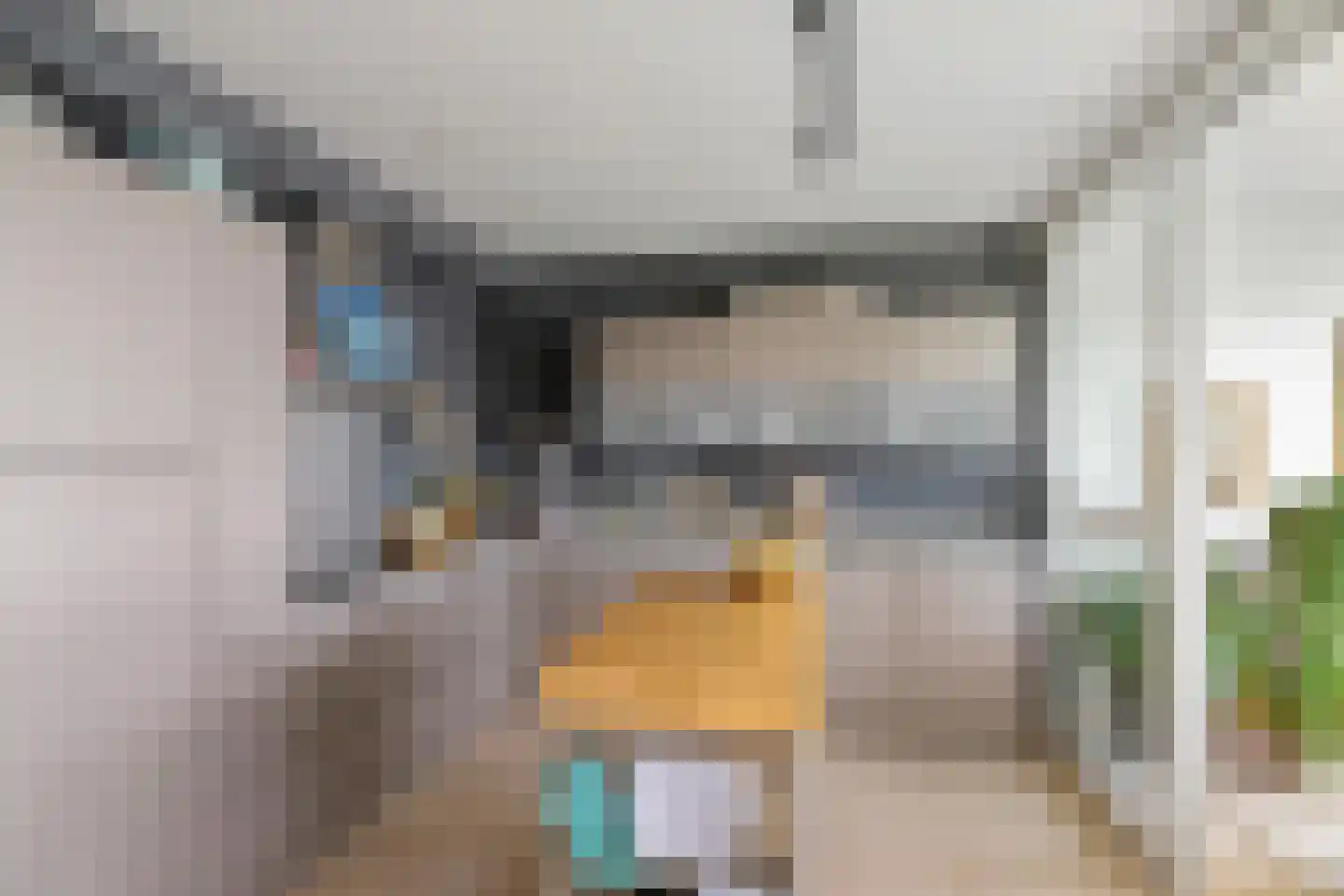 Regattaweg 290 Groningen thumbnail 24