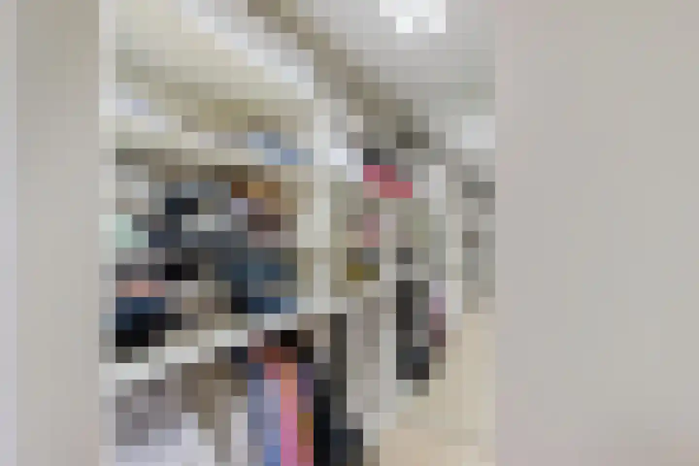 Regattaweg 290 Groningen thumbnail 41