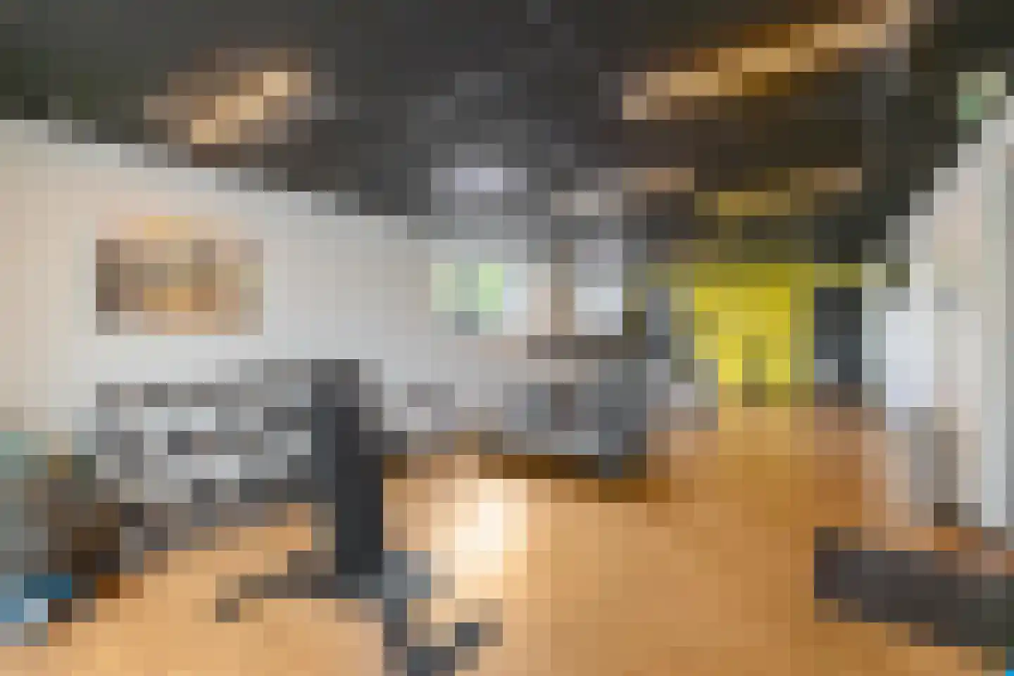 Regattaweg 290 Groningen thumbnail 48