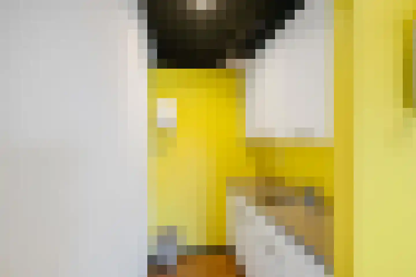Regattaweg 290 Groningen thumbnail 49