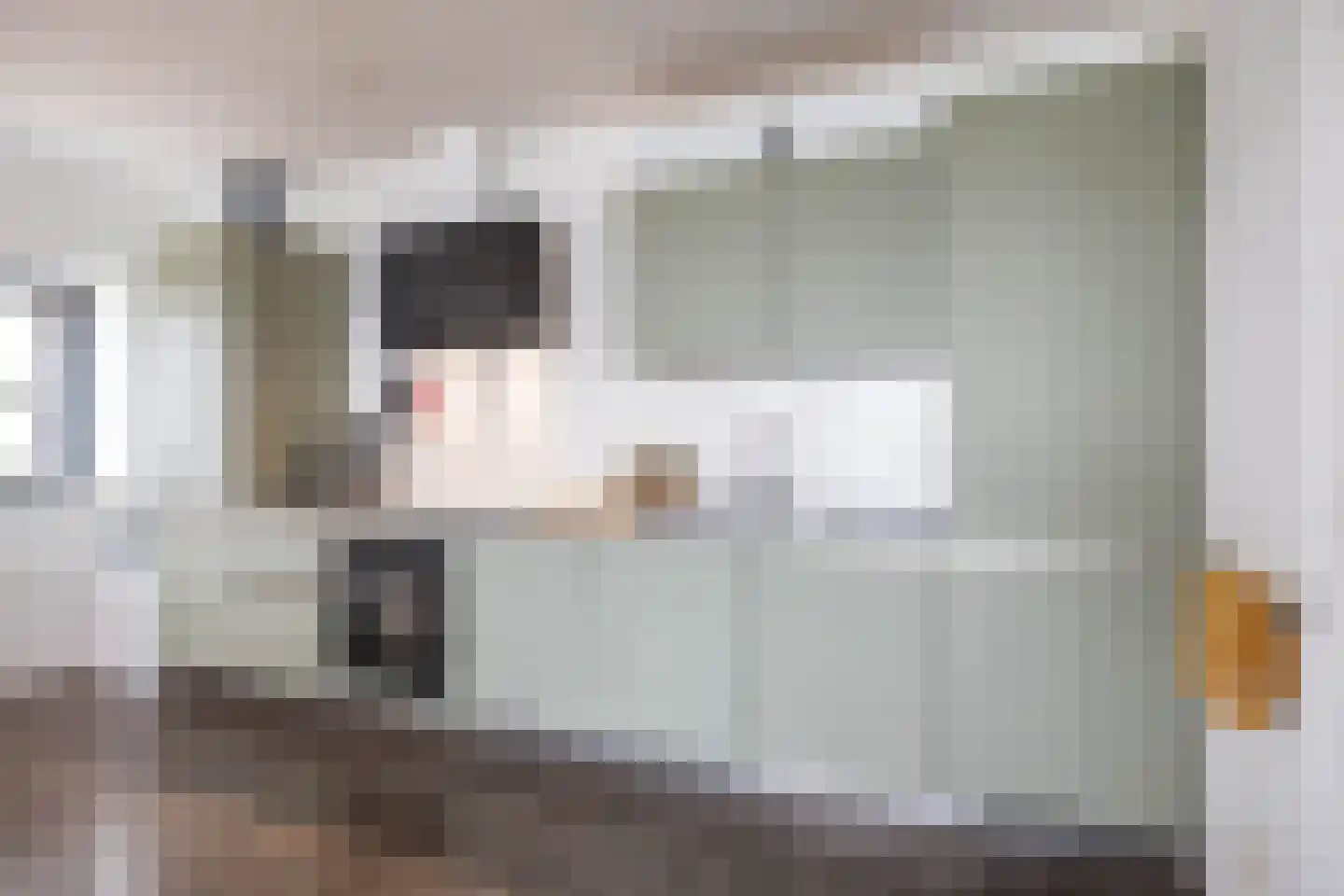 Regattaweg 302 Groningen thumbnail 22