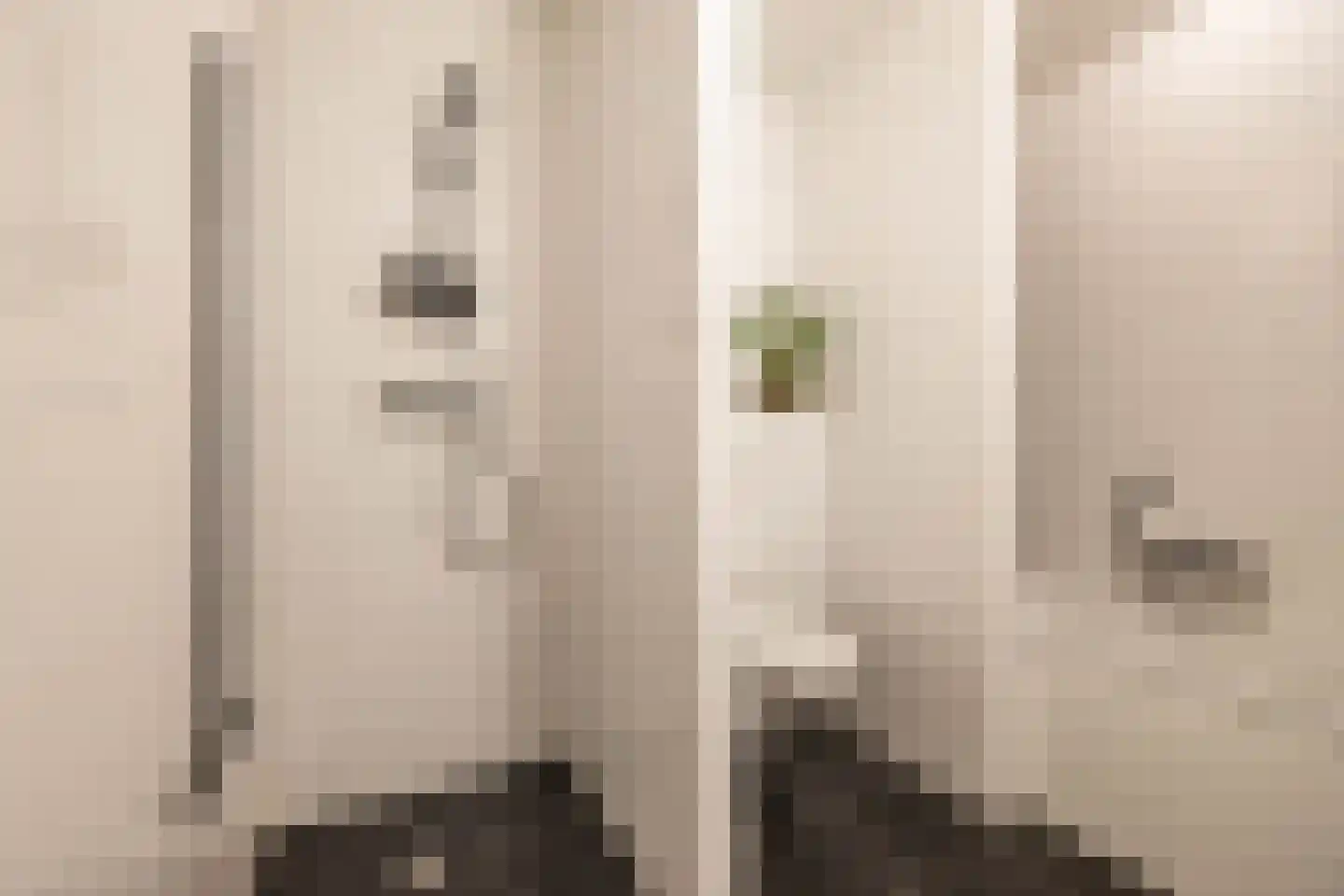 Regattaweg 302 Groningen thumbnail 43