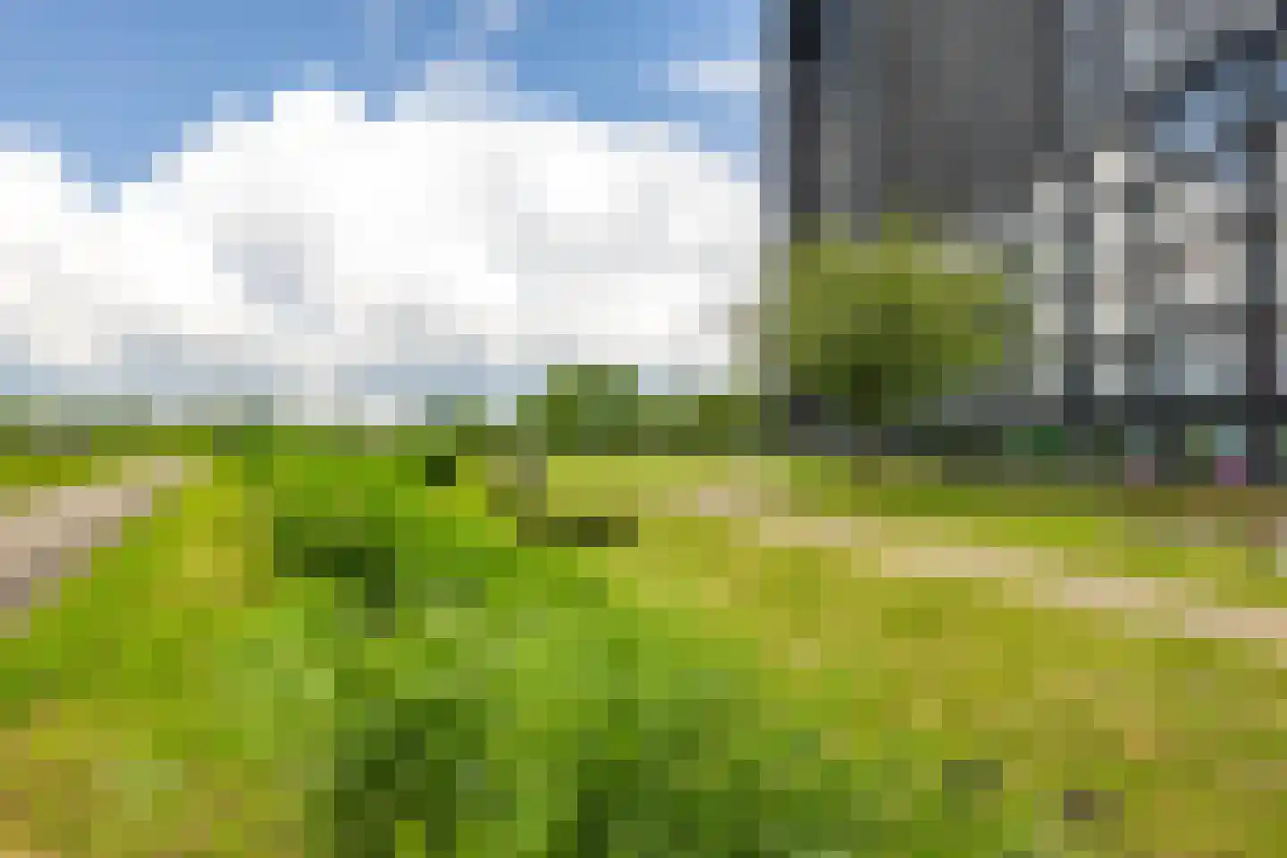 Regattaweg 308 Groningen thumbnail 41