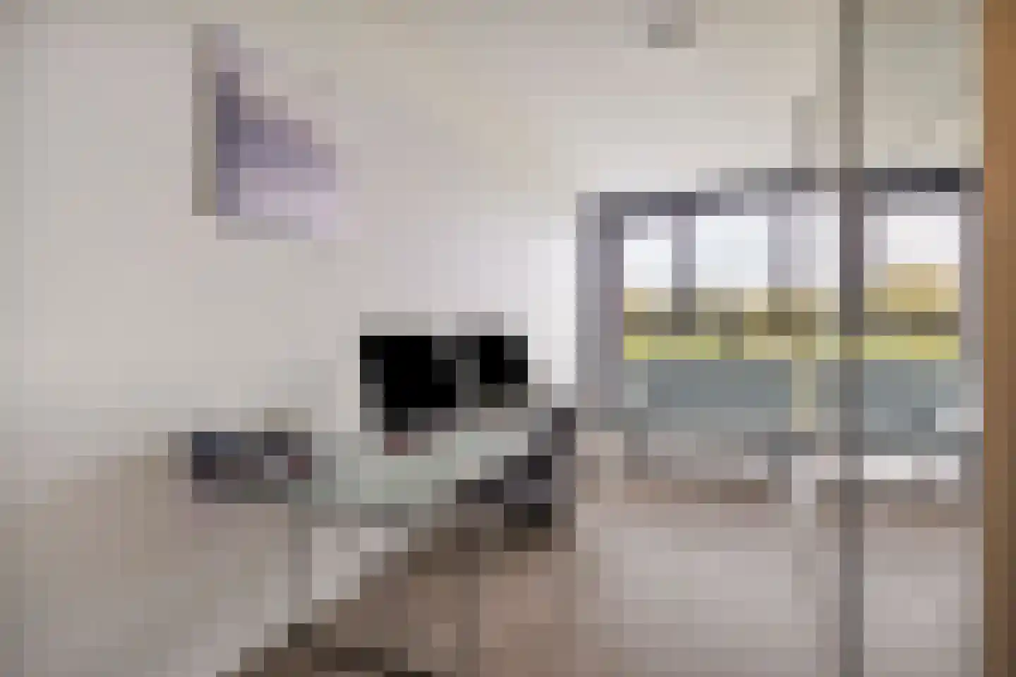 Regattaweg 32 Groningen thumbnail 30