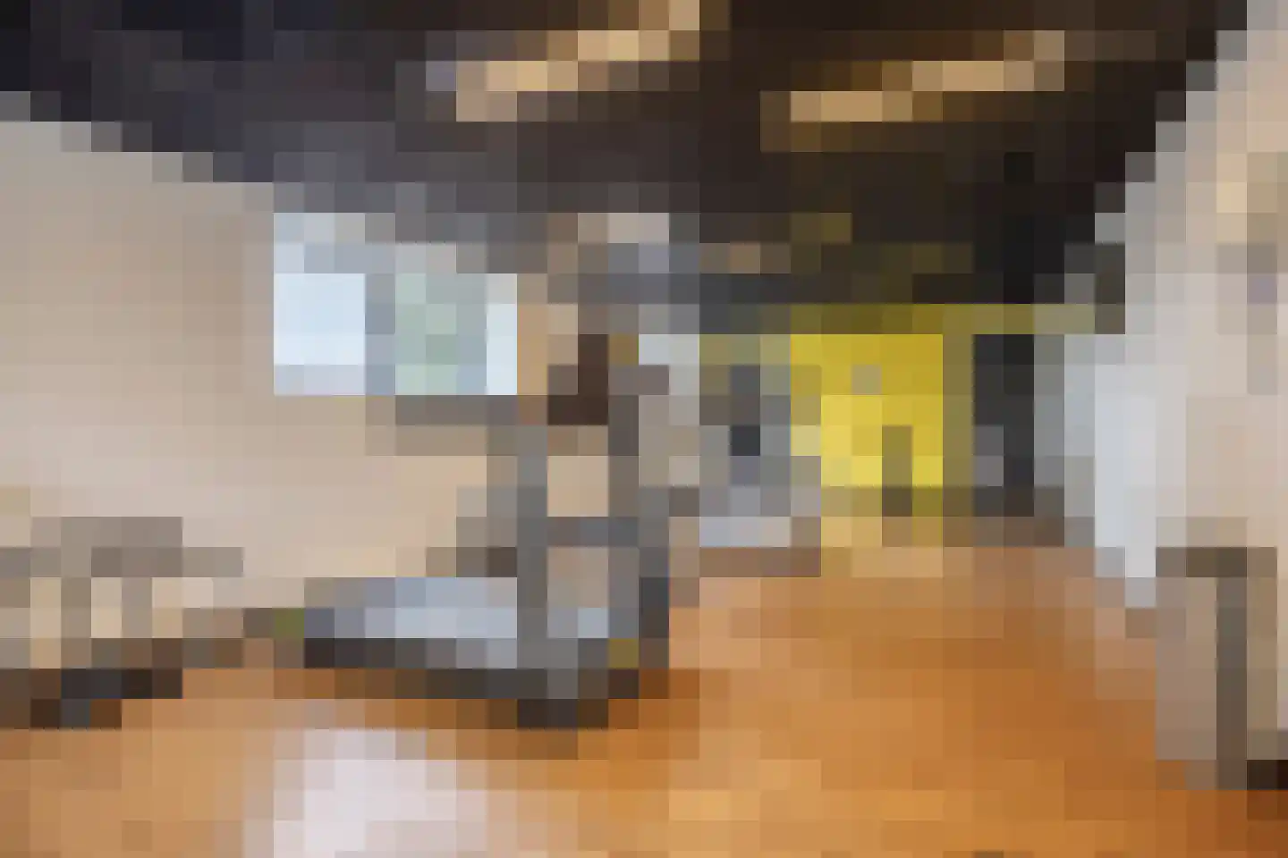 Regattaweg 32 Groningen thumbnail 37