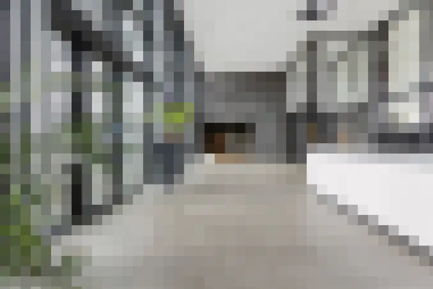 Regattaweg 336 Groningen thumbnail 10