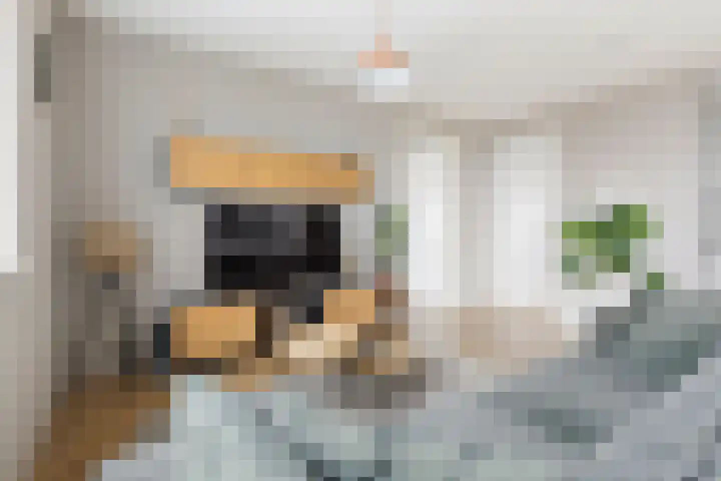 Regattaweg 336 Groningen thumbnail 16