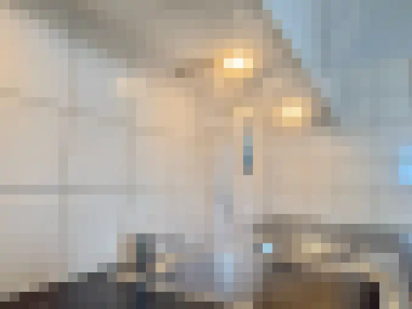 Regattaweg 366 Groningen thumbnail 31