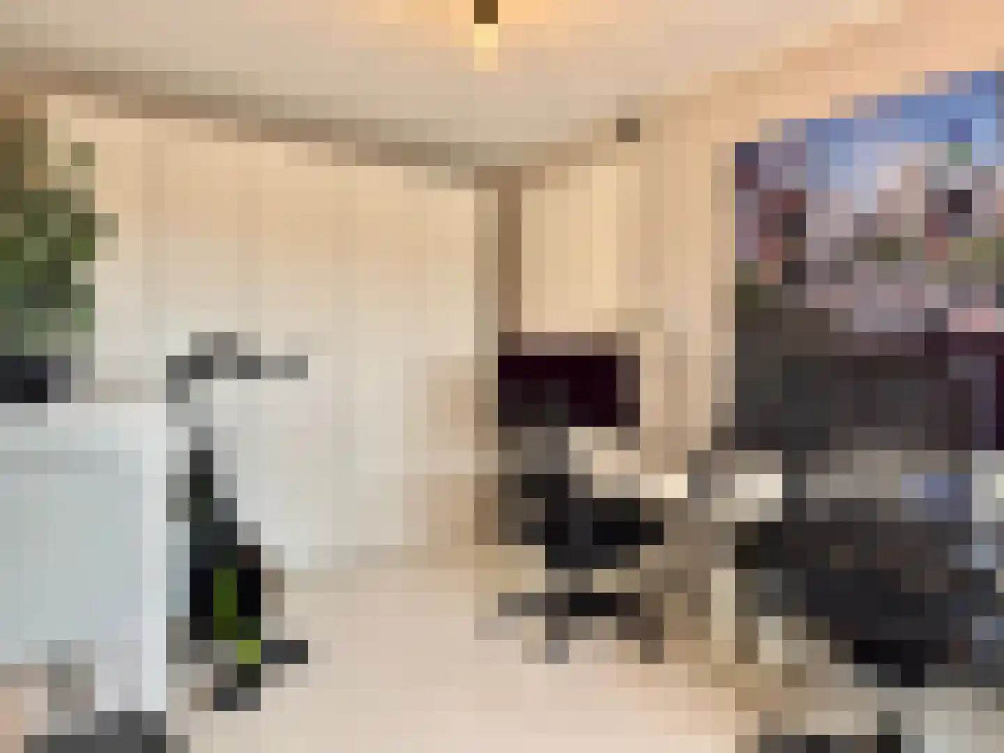 Regattaweg 366 Groningen thumbnail 41