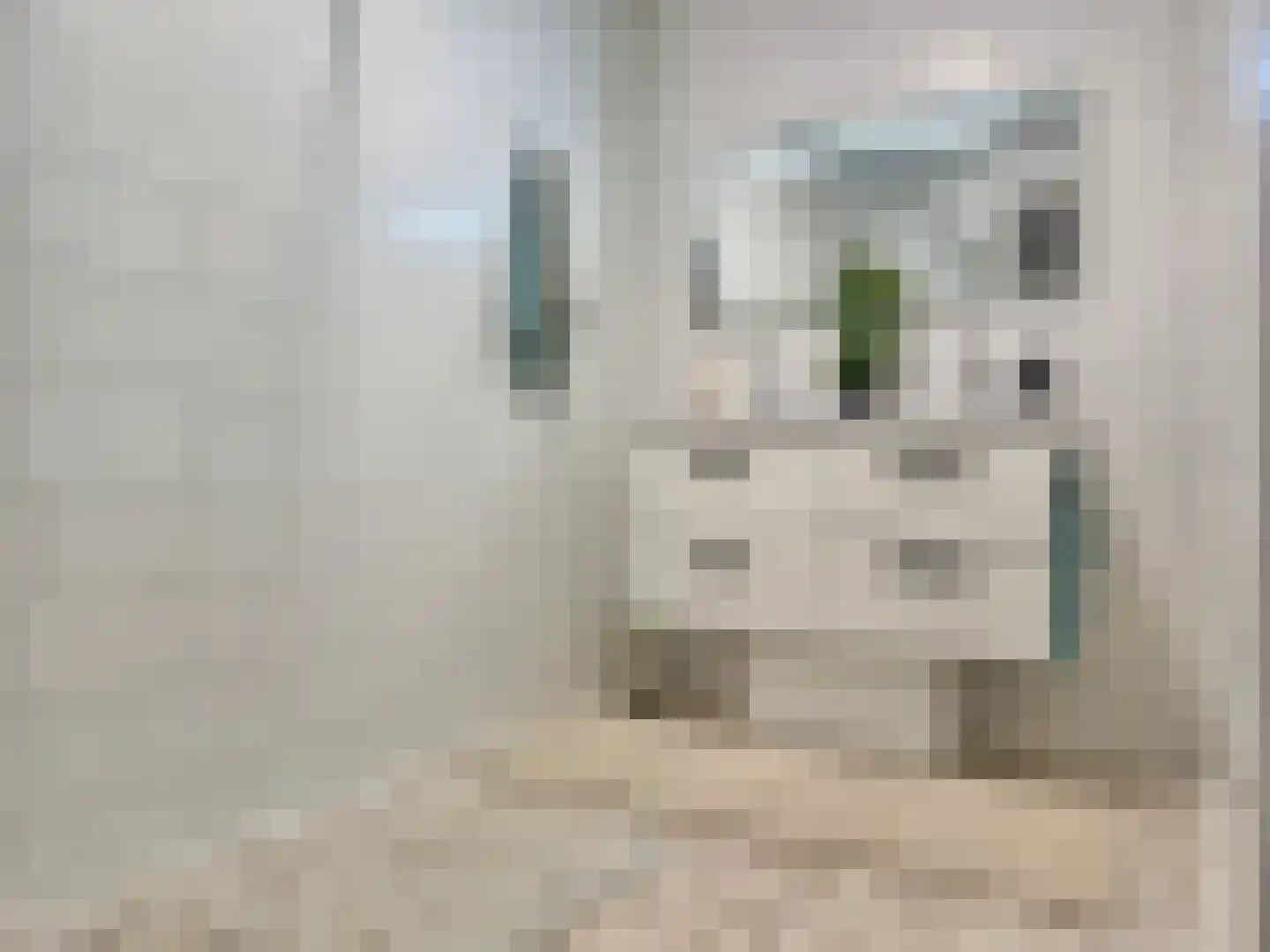 Regattaweg 366 Groningen thumbnail 50