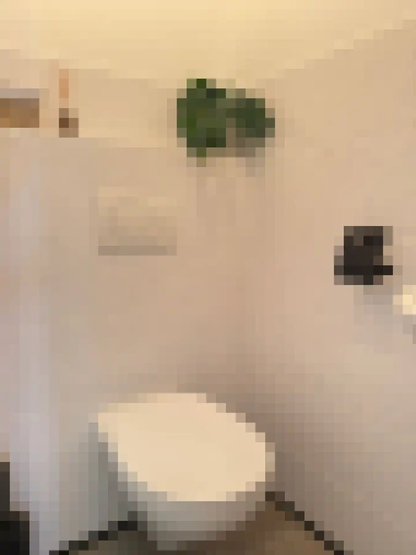 Regattaweg 366 Groningen thumbnail 57