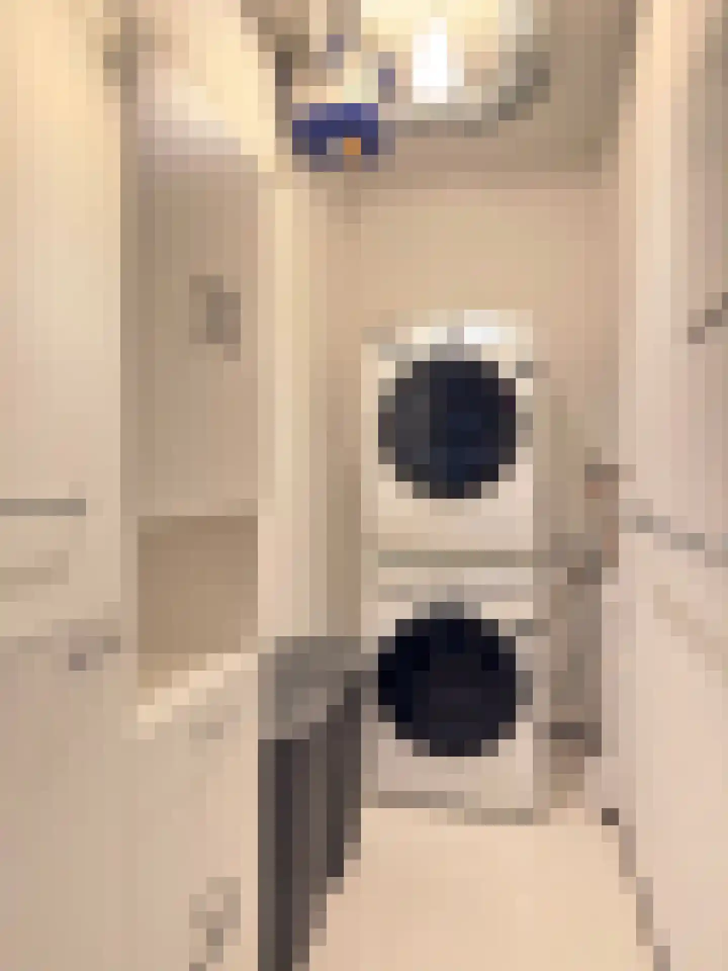 Regattaweg 366 Groningen thumbnail 58