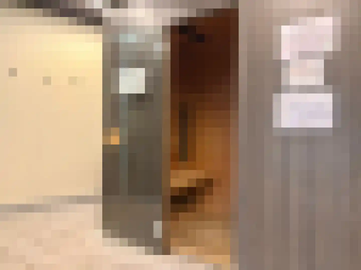 Regattaweg 366 Groningen thumbnail 62