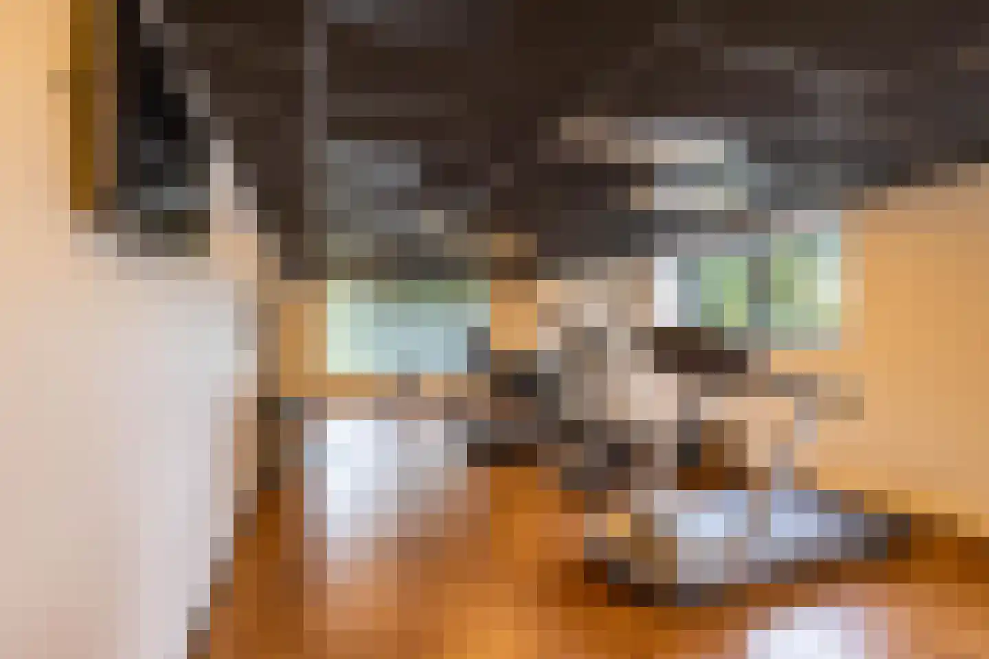 Regattaweg 366 Groningen thumbnail 64