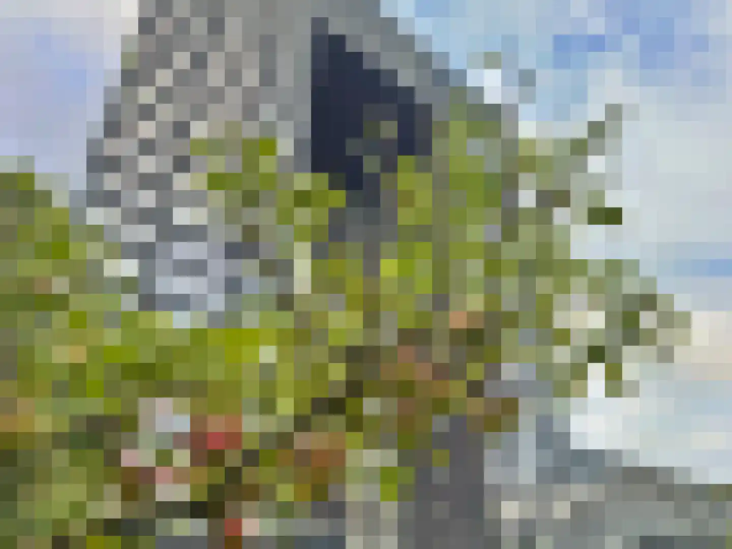 Regattaweg 366 Groningen thumbnail 67