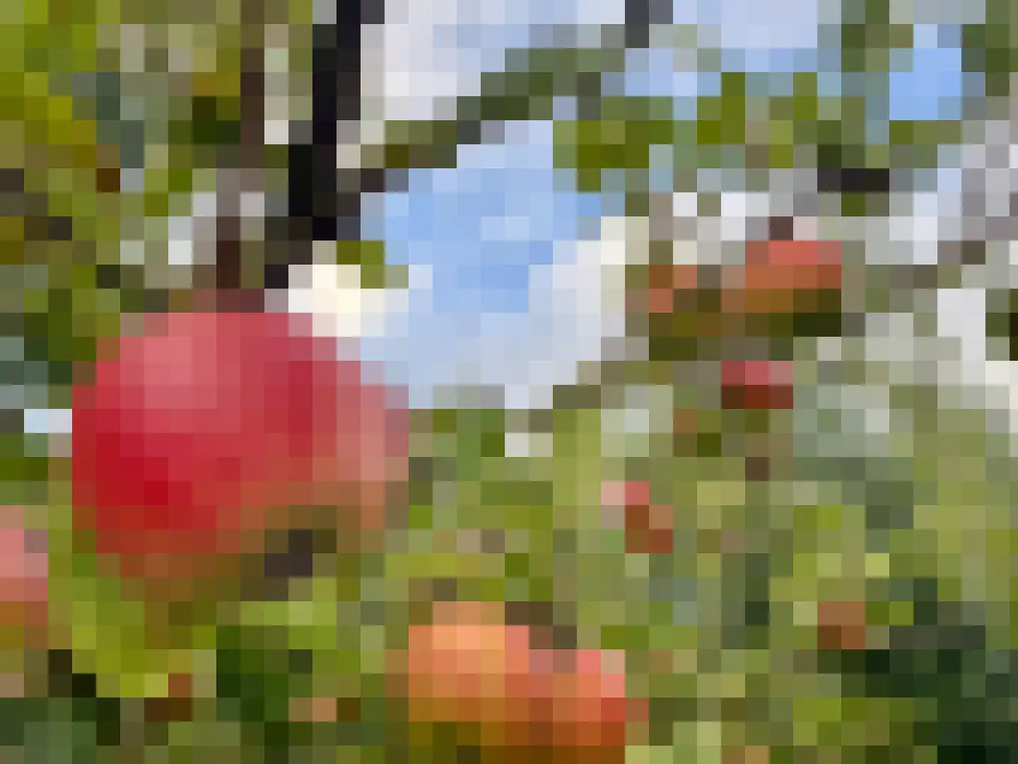 Regattaweg 366 Groningen thumbnail 68