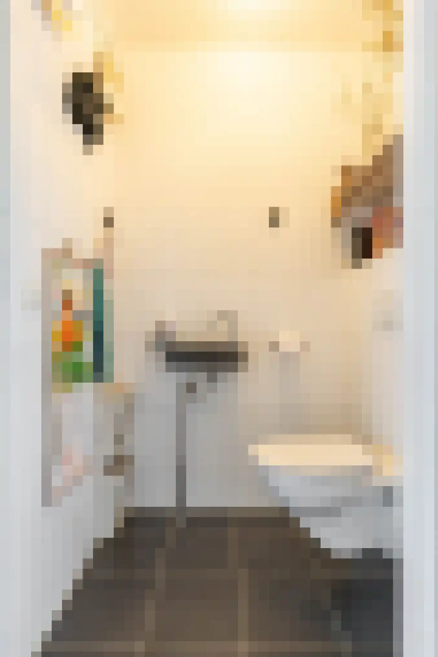 Regattaweg 394 Groningen thumbnail 13