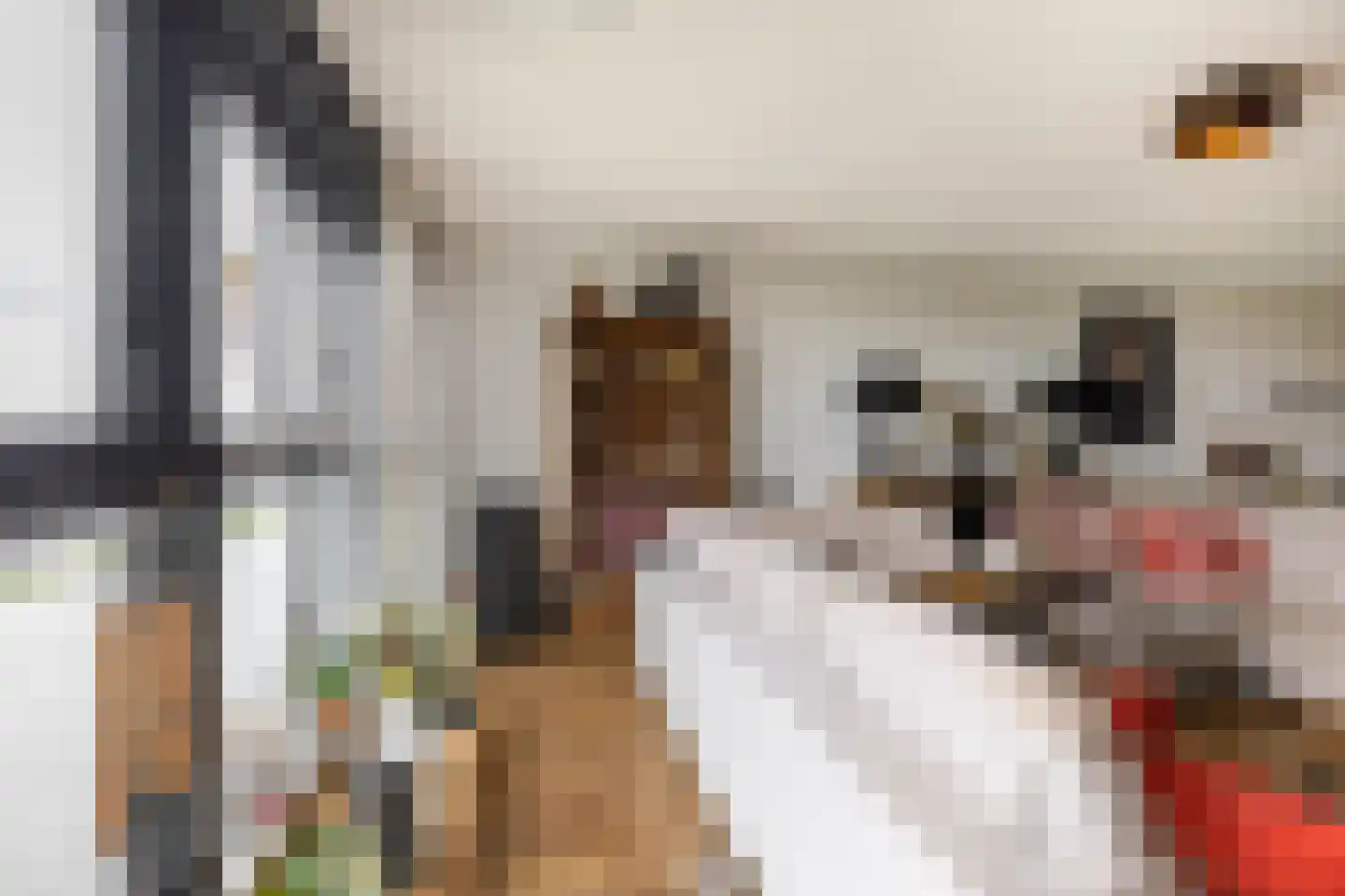 Regattaweg 394 Groningen thumbnail 17
