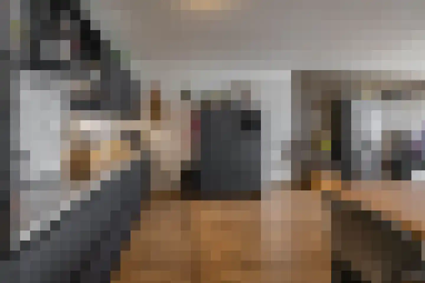 Regattaweg 394 Groningen thumbnail 21