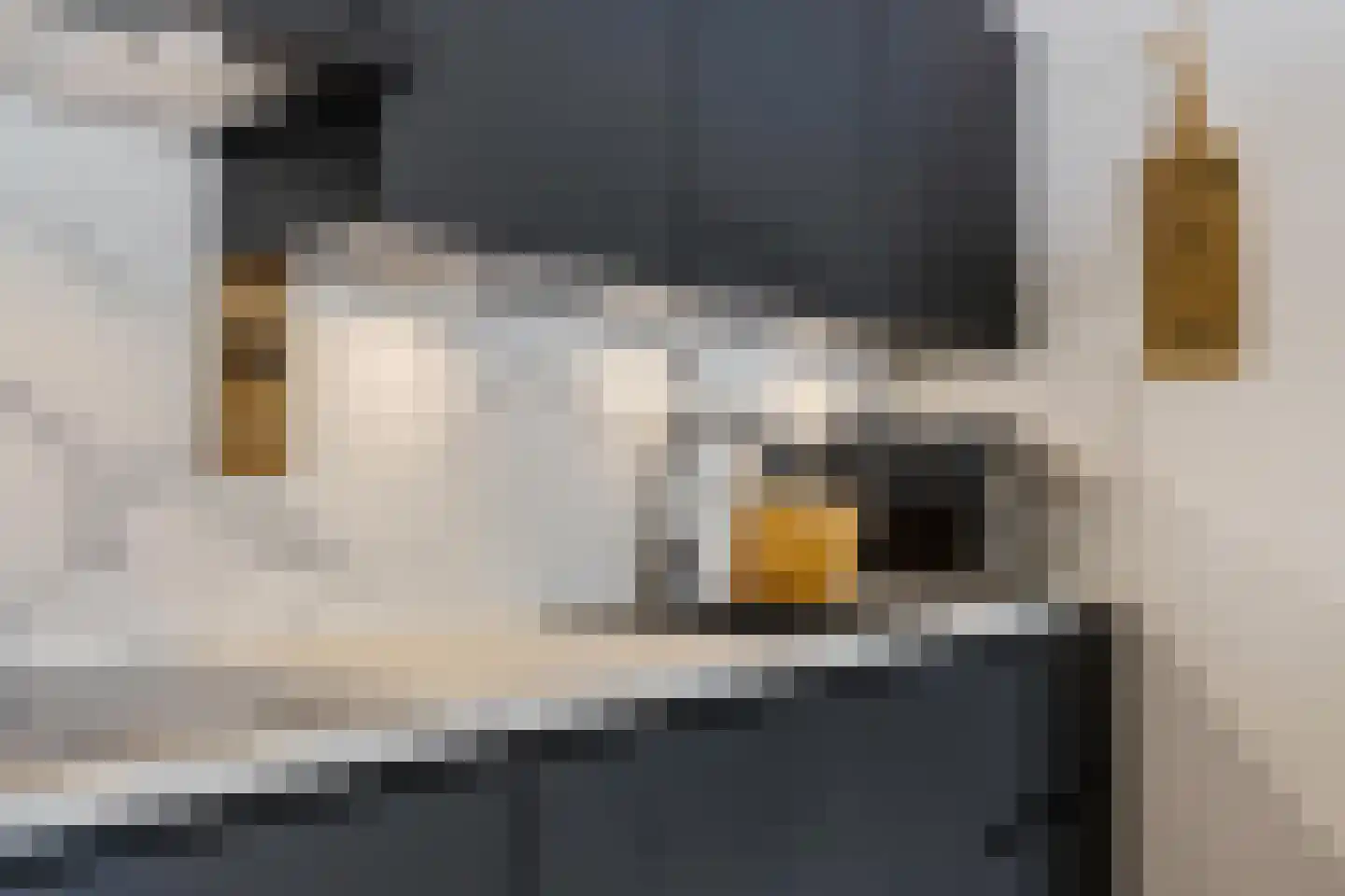 Regattaweg 394 Groningen thumbnail 23