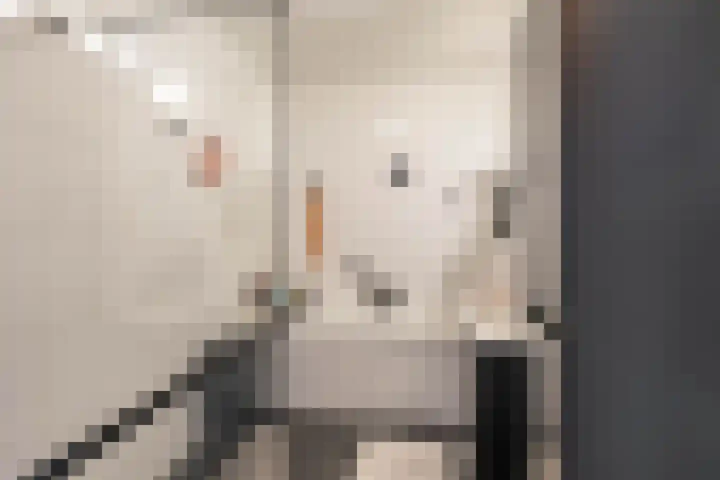 Regattaweg 394 Groningen thumbnail 28