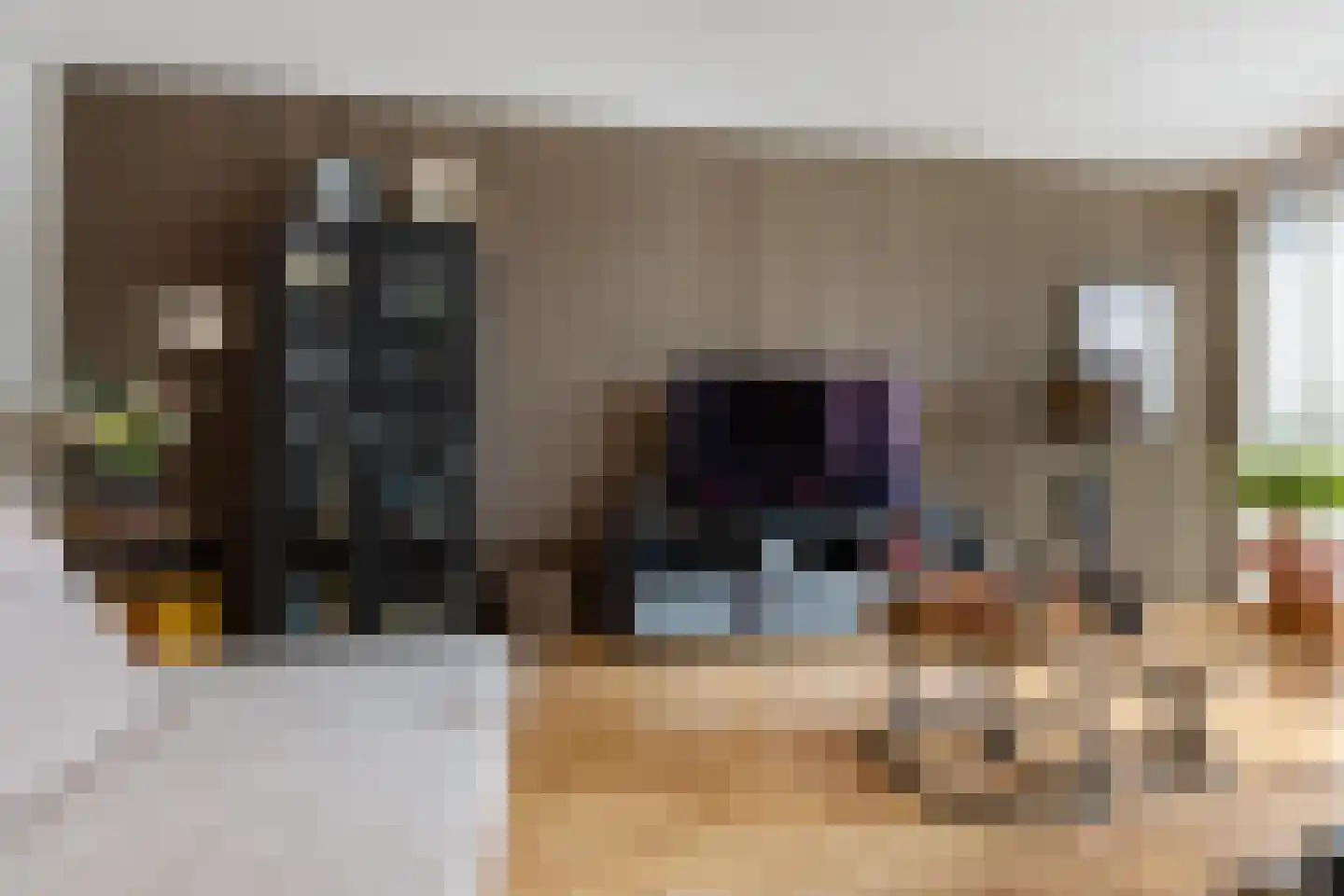 Regattaweg 394 Groningen thumbnail 31