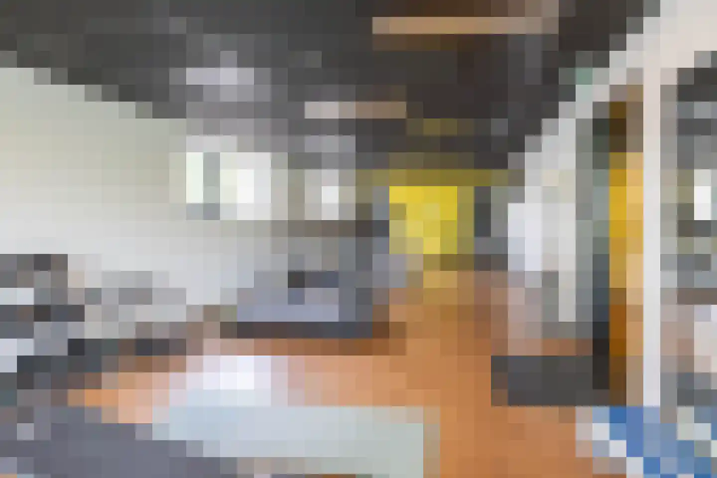 Regattaweg 394 Groningen thumbnail 32