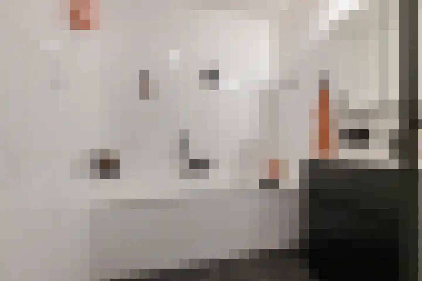 Regattaweg 394 Groningen thumbnail 40