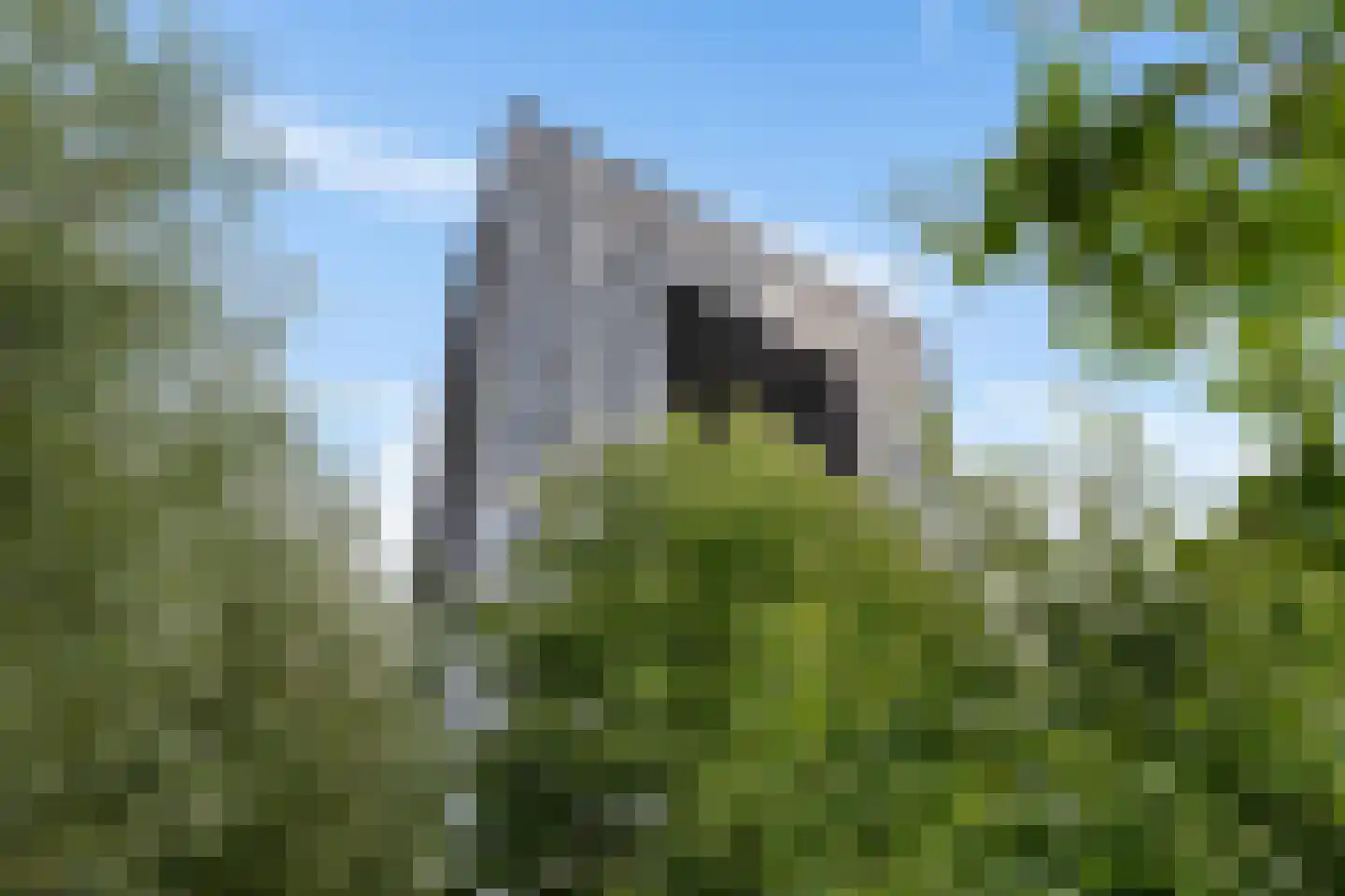 Regattaweg 394 Groningen thumbnail 50